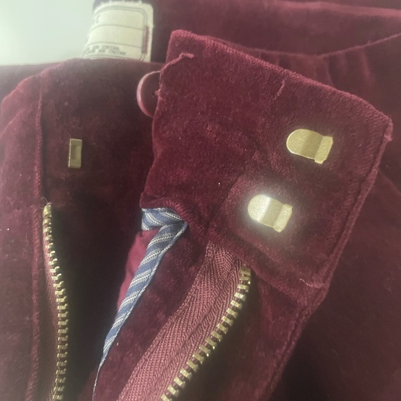 Free People Burgundy Velvet Pants - Picture 5 of 5